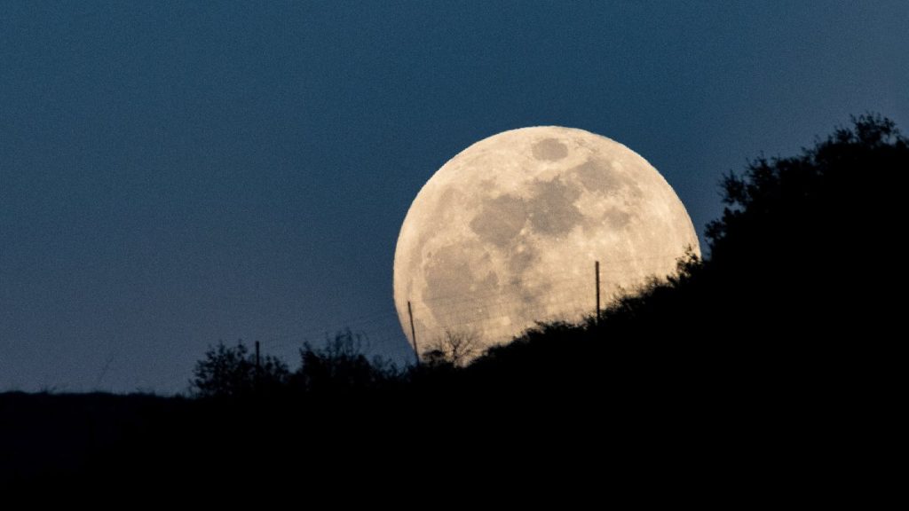 Superluna De Ciervo