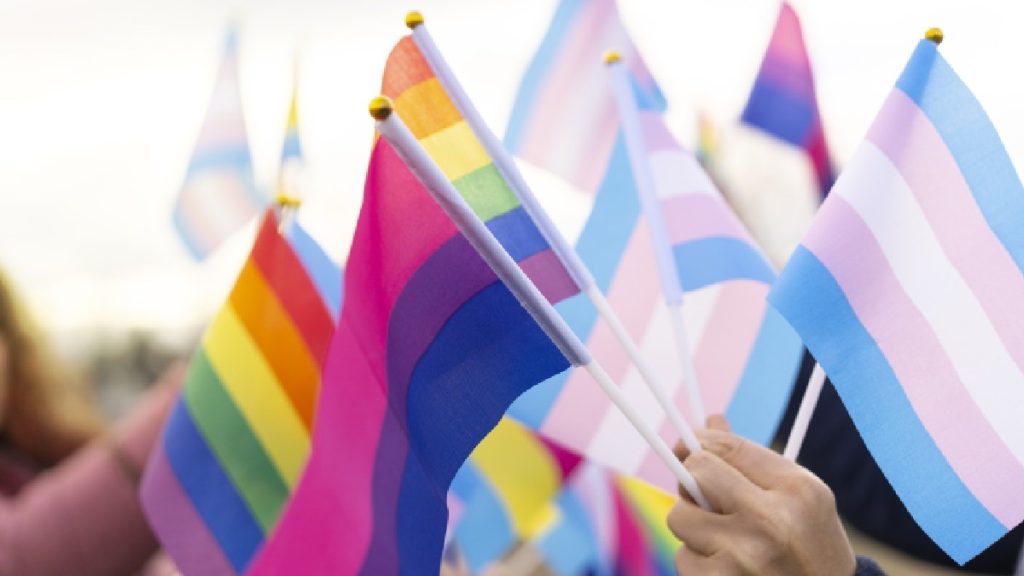 TRAVA_ Festival De La Memoria Disidente Sexual