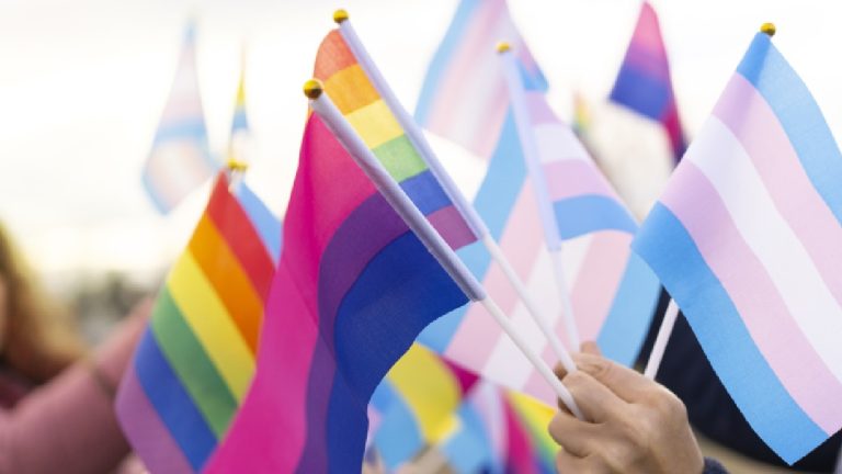 TRAVA_ Festival De La Memoria Disidente Sexual