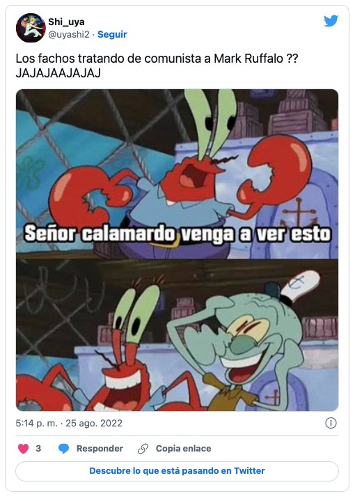 Memes Mark Ruffalo 13