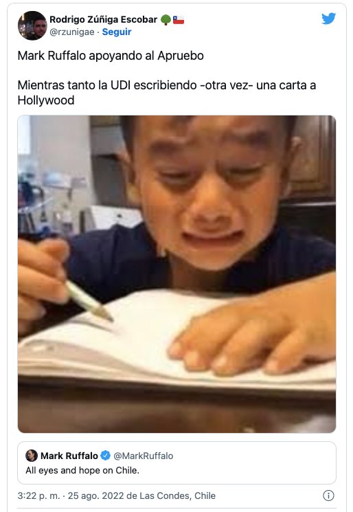 Memes Mark Ruffalo 3