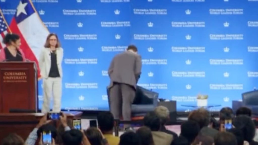 Gabriel Boric Sillón