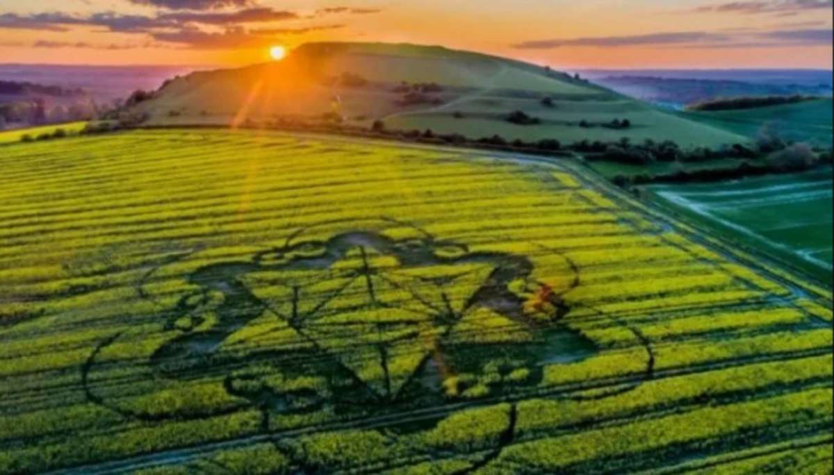 Círculos De Cultivos