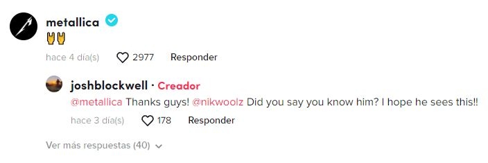 Metallica Tiktok Master Of Puppets