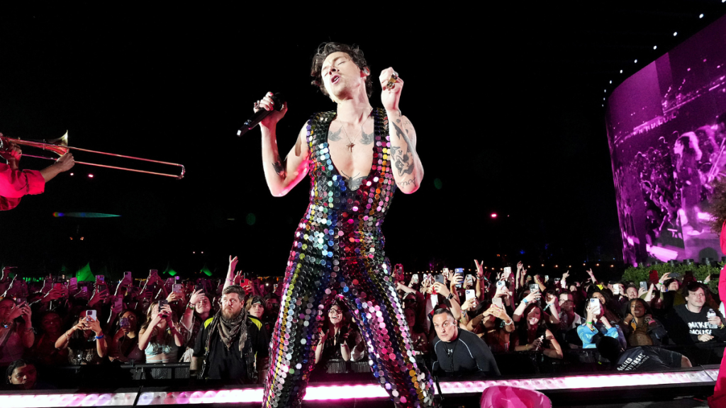 Harry Styles golpeado concierto