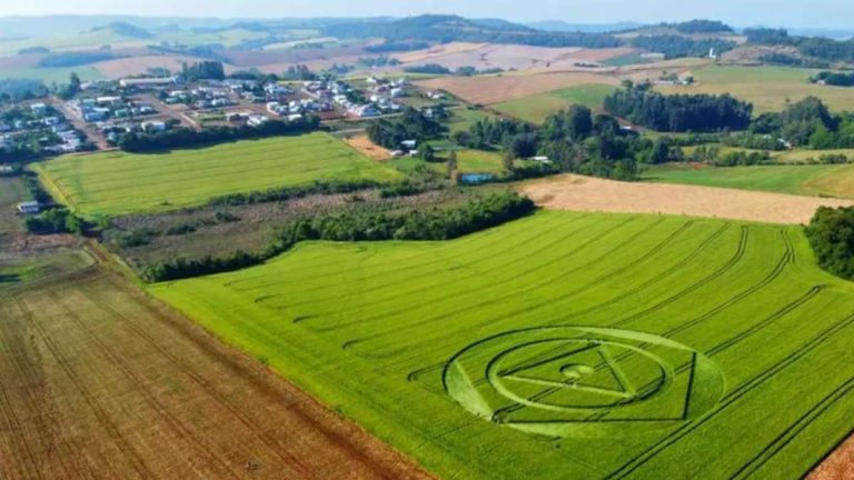 Agroglifos En Brasil Círculos Señales