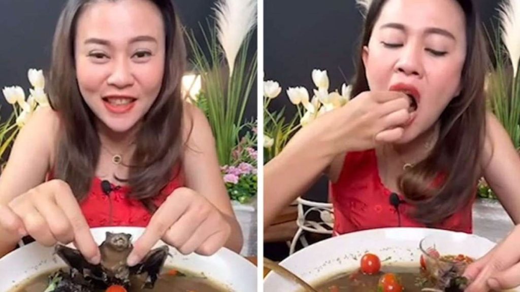 Phonchanok Srisunaklua Murciélago