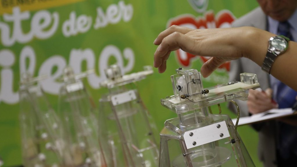 Ganadora De La Suerte De Ser Chileno De Polla