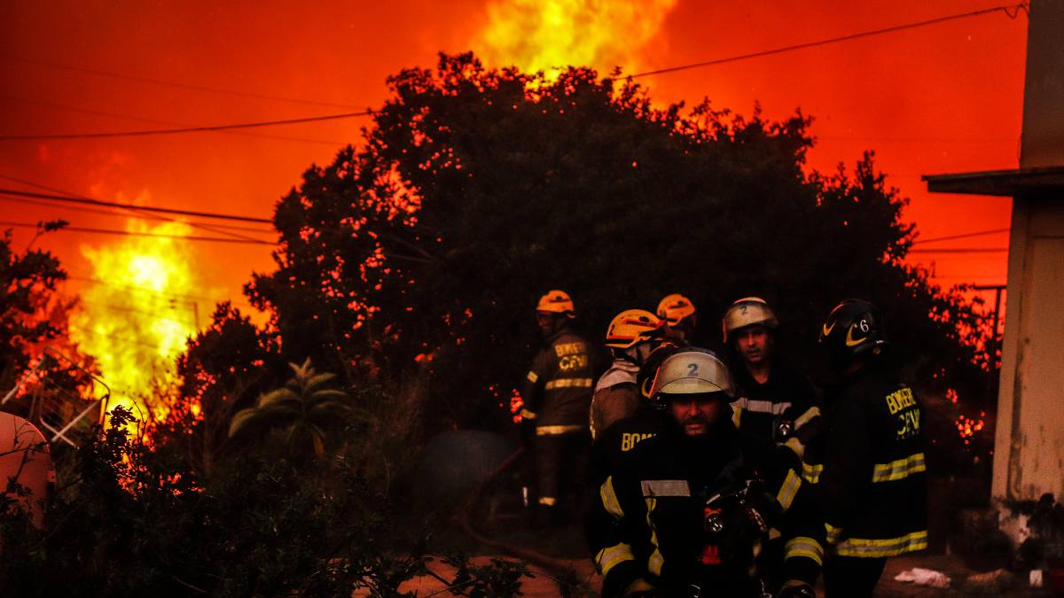 Incendio En Viña Del Mar 4