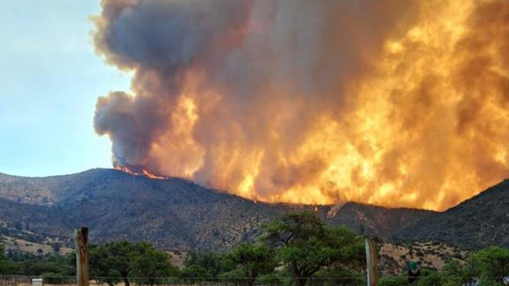 Incendio Forestal En Quilpué