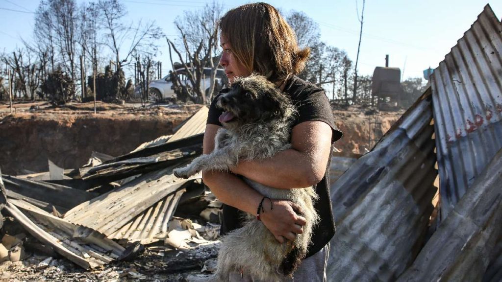 Incendios Forestales