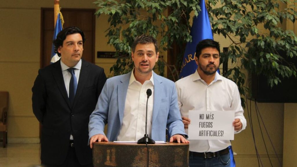 Proyecto No Mas Pirotecnia