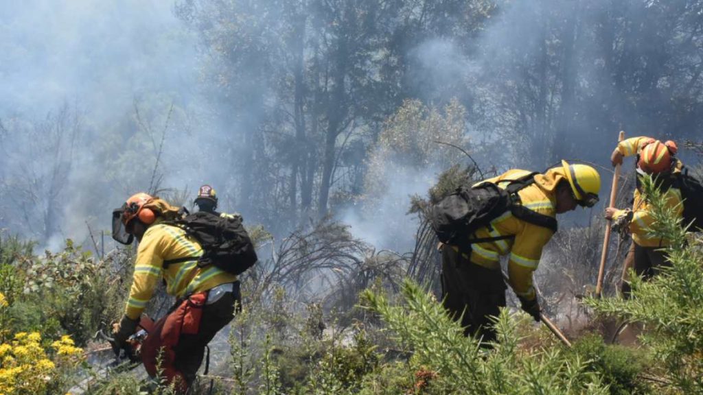Alerta Roja En Tiltil_ Gran Preocupación Por Incendio De Hectáreas