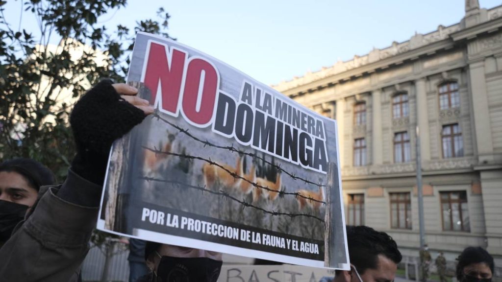 Se Rechaza Proyecto Dominga