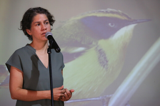 La jefa de Medioambiente, Maisa Rojas, se refirió en Radio Concierto al rol del cambio climático en la crisis de los incendios que afecta a nuestro país