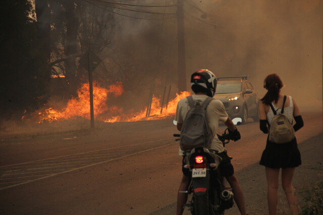 Carolina Leitao se refiere a carta de la AChM e intencionalidad de incendios