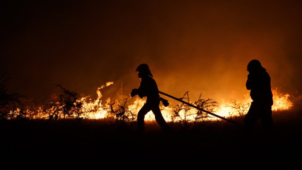 Cómo Ayudar A Los Damnificados De Incendios Forestales En El Sur