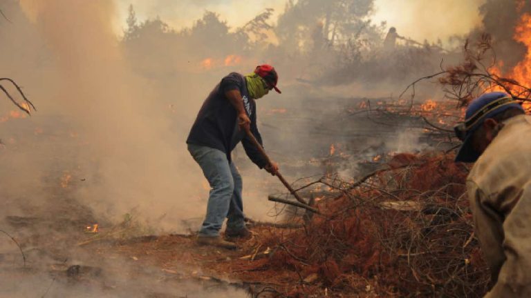 Incendios Forestales_ Qué Comunas Están Con Emergencia Y Preemergencia Ambiental