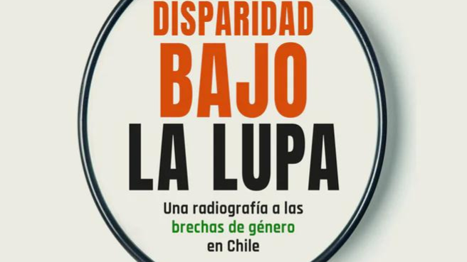 “Disparidad bajo la lupa": Nuevo estudio del CEP cuantifica disparidades en Chile
