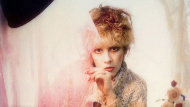 Stevie Nicks 2