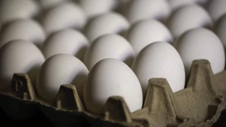 precios de los huevos, gripe aviar, gobierno, chilehuevos,