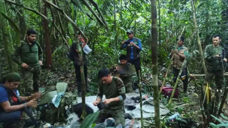 Niños Perdidos Selva Del Guaviare Collombia