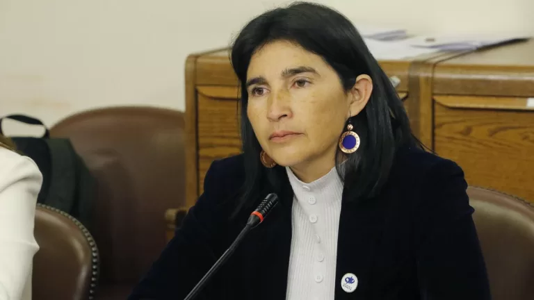 Diputada Yovana Ahumada Critica Al Gobierno Por Caso Democracia Viva