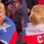 Adele Bandera Chile
