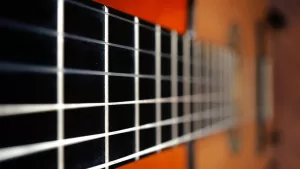 Día De La Música Chilena