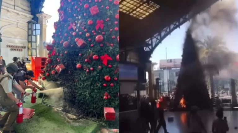 Árbol De Navidad Estación Central