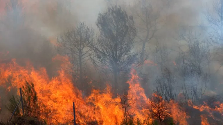 Diputado Solicida Comision Investigadora De Incendios Y Como Prevenirlos