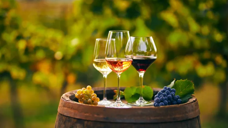 Santa Vendimia En ñuñoa