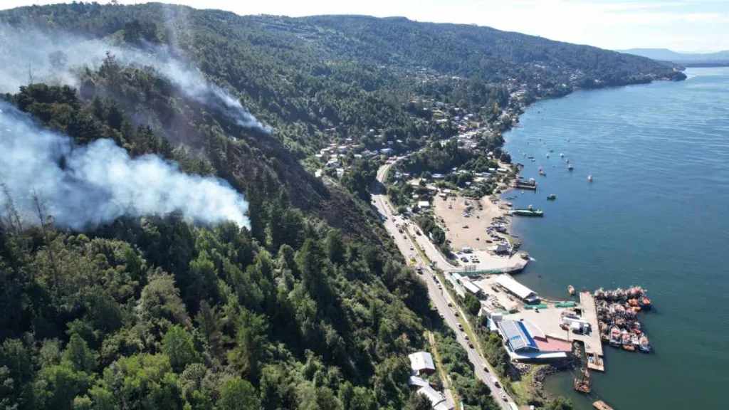 Incendio En Valdivia En Niebla Alerta Roja