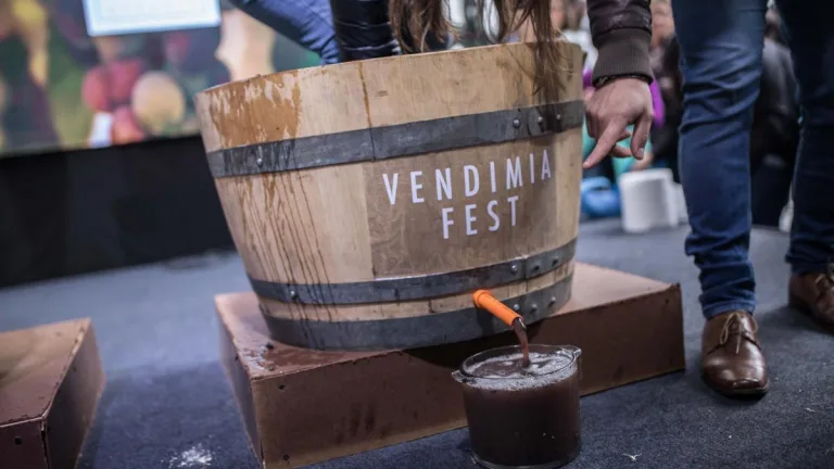Vendimia Fest 2024 En Providencia