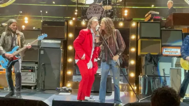 Steven Tyler Chris Robinson