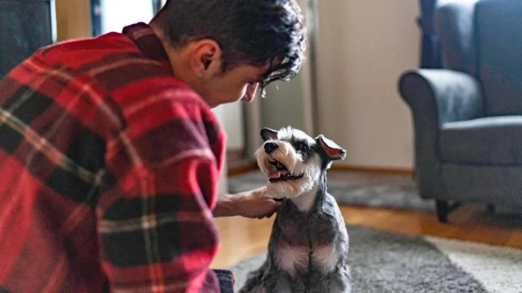 Inteligencia Artificial Perros