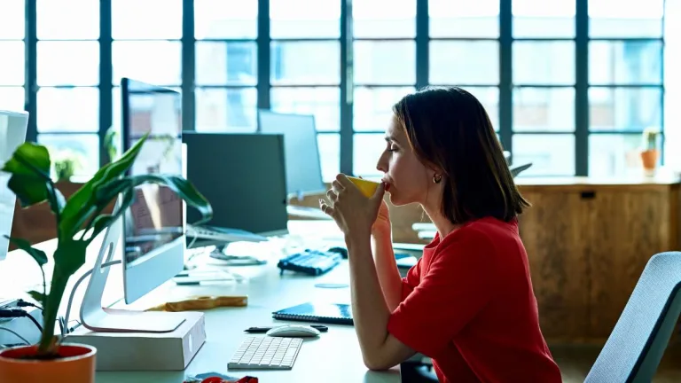 Rutina De Trabajo