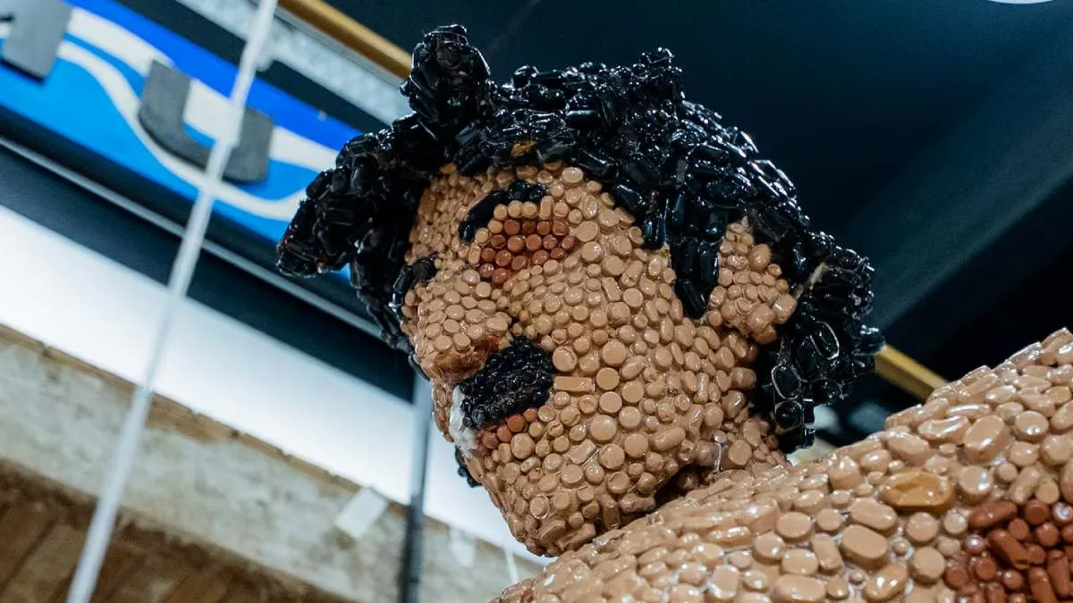 Charly Garcia Escultura Con Pastillas
