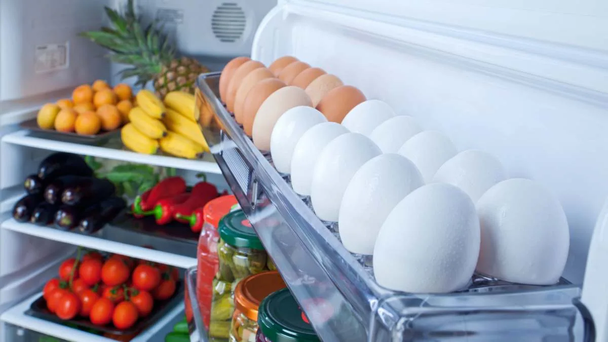 Alimentos En Refrigerador