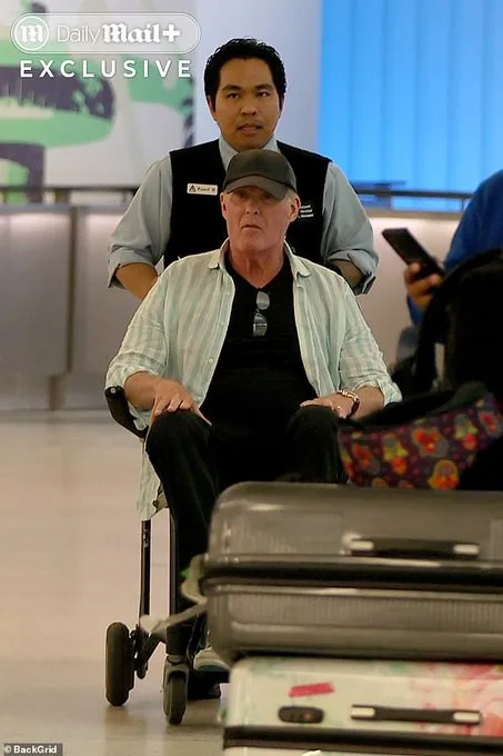David Hasselhoff En Silla De Ruedas