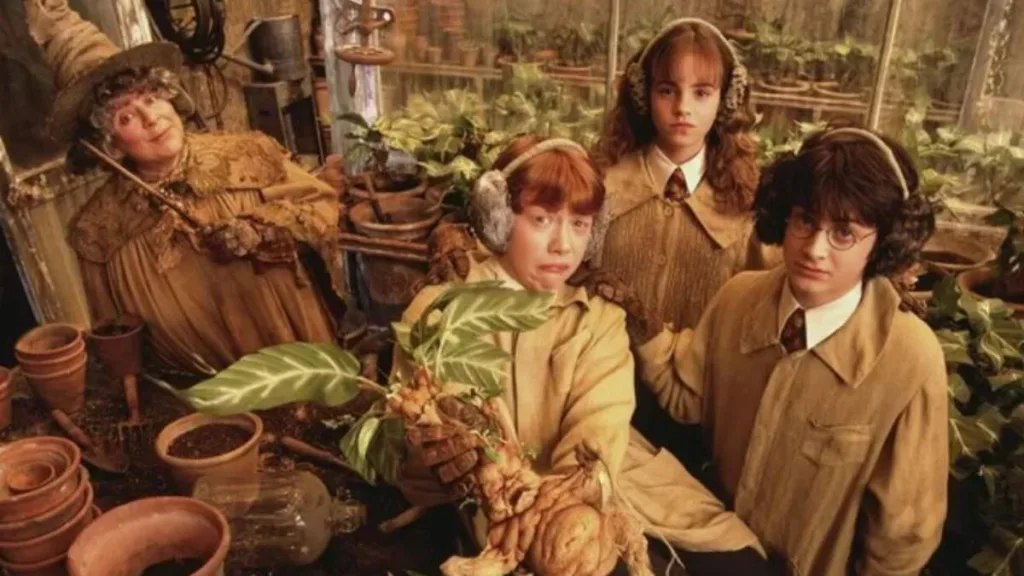 Harry Potter Sprout Miriam Margolyes