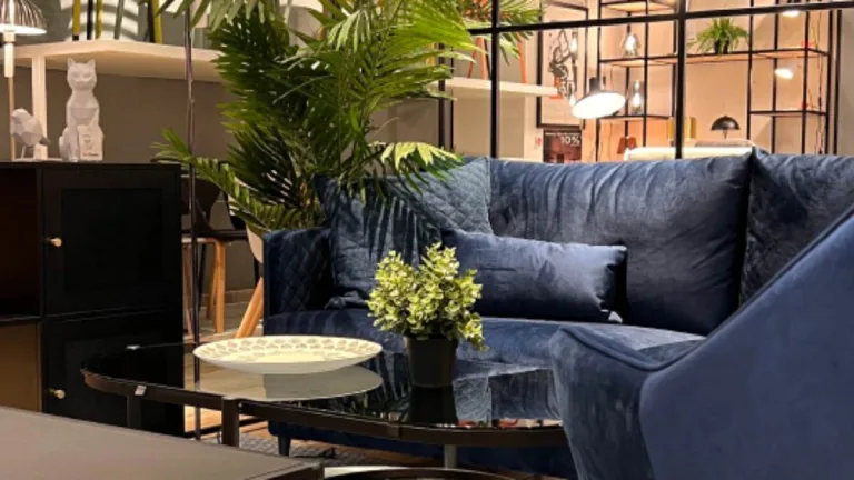 Muebles Sur
