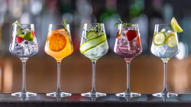 Dia Mundial Del Gin