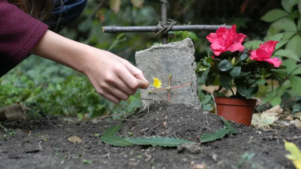 Cementerio de mascotas