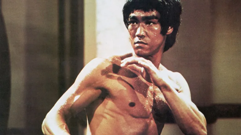 Bruce Lee Ia