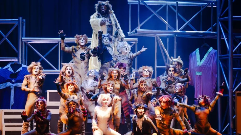 Cats Las Condes