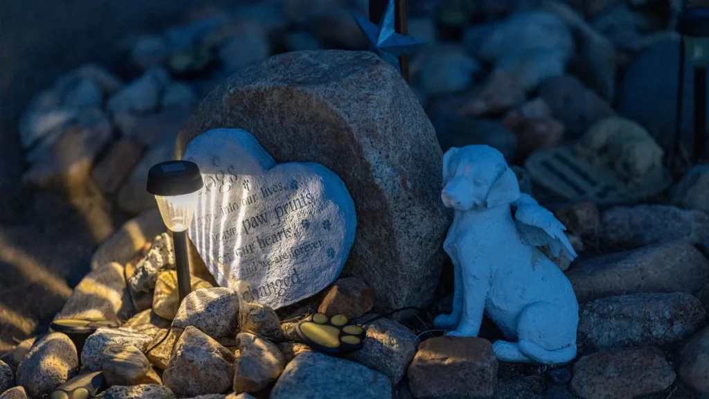 Cementerio Municipal De Mascotas