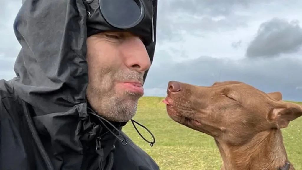 Liam Gallagher Perrito Perro