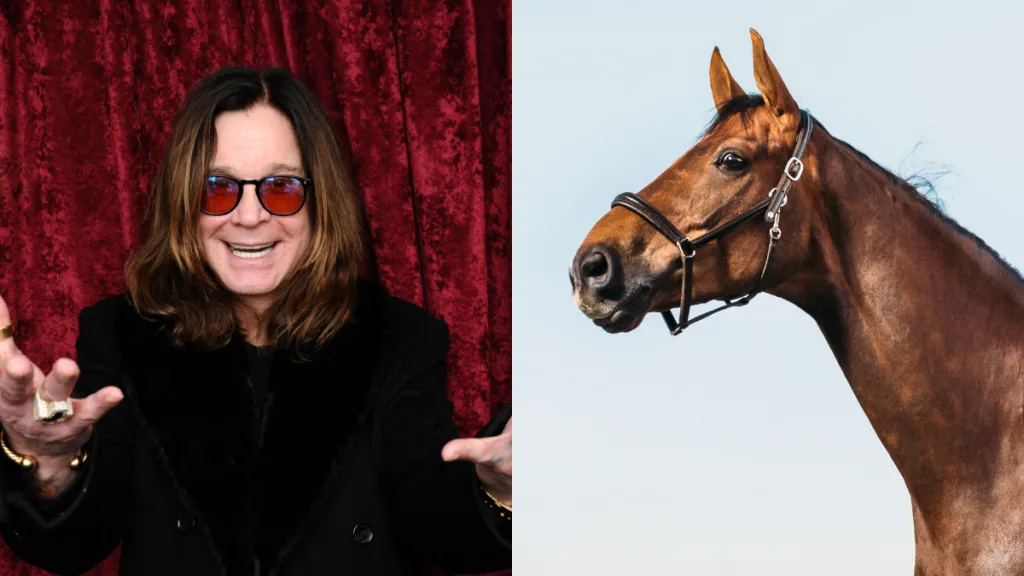 Ozzy Osbourne Caballo