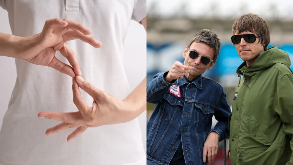 Intérprete De Señas Oasis